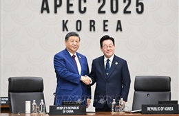 Trung Quốc thúc đẩy đàm phán thương mại ba bên với Nhật Bản và Hàn Quốc