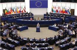 EU chưa đạt được đồng thuận trong đàm phán cấm nhập khẩu năng lượng Nga