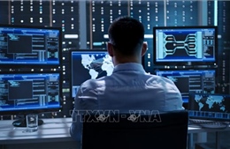 Pháp: Tấn công mạng làm tê liệt hệ thống bưu chính và ngân hàng giữa cao điểm Giáng sinh 