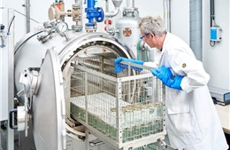 Nơi những đạo luật châu Âu ra đời trong lặng lẽ