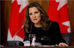 Tổng thống Zelensky bổ nhiệm cựu Phó thủ tướng Canada làm cố vấn kinh tế