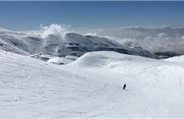 Tổng thống Mỹ đề xuất biến núi Hermon thành 'Aspen của phương Đông'