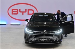 Mỹ cảnh báo Canada trước quyết định mở cửa cho xe điện Trung Quốc