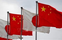 Trung Quốc mở rộng kiểm soát xuất khẩu với 40 thực thể Nhật Bản