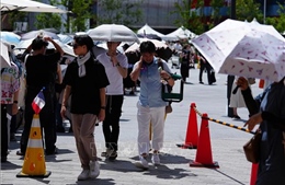 Nhật Bản có thể trải qua mùa hè nóng kỷ lục mới trong năm 2026