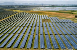 Ấn Độ và triển vọng cường quốc năng lượng xanh