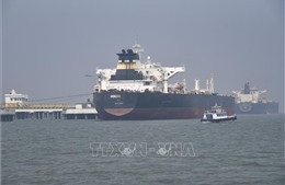 Gần 1 triệu tấn phân bón mắc kẹt vì eo biển Hormuz bị phong tỏa