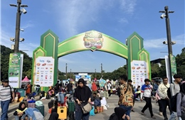 Mudik - Hành trình đoàn tụ lớn nhất trong năm tại Indonesia