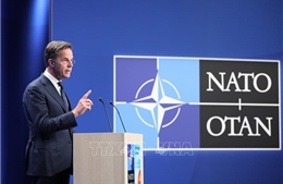 Châu Âu phản ứng trước lập trường ủng hộ chiến tranh Iran của Tổng thư ký NATO