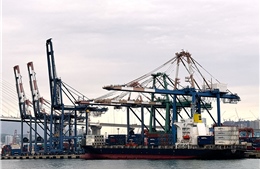 Lợi thế cạnh tranh của cảng Busan trong cấu trúc logistics Đông Bắc Á