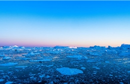 Giới khoa học cảnh báo nguy cơ sụp đổ của hệ thống hải lưu quan trọng ở Đại Tây Dương