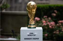 World Cup 2026: Chi phí đi lại tăng cao tại Mỹ khiến người hâm mộ lo ngại