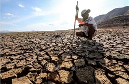 Nỗi lo siêu El Nino bao trùm châu Á, đe dọa lương thực và kinh tế khu vực