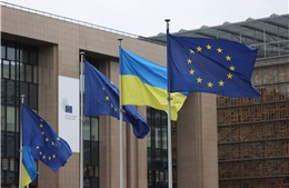 Kiev thúc giục EU tăng tốc tiến trình kết nạp Ukraine