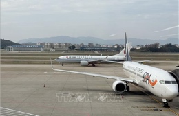Xung đột Trung Đông đẩy lợi nhuận năm 2026 của các hãng hàng không lao dốc