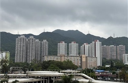 Hong Kong đối mặt bài toán phát thải từ các trung tâm dữ liệu AI