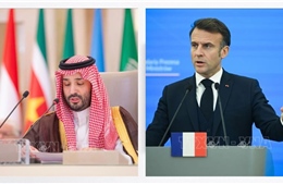 Saudi Arabia đầu tư xây tổ hợp công viên phong cách truyện tranh Nhật Bản gần Paris
