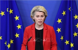 EU giải ngân 1,4 tỷ euro từ lợi nhuận tài sản Nga sau vụ tập kích Kiev