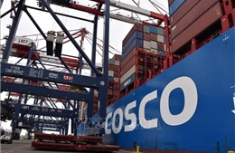 Mỹ cáo buộc tàu COSCO bí mật thu thập tình báo cho Trung Quốc