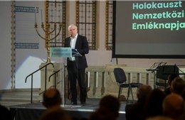 Đại sứ Israel kêu gọi EU dỡ bỏ trừng phạt sau lệnh ngừng bắn Gaza