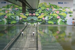 Tranh hoa sen ở sân bay Nội Bài đoạt Huy chương Vàng Thiết kế quốc tế