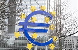 Quan chức ECB ủng hộ kế hoạch EU sử dụng tài sản Nga để hỗ trợ Ukraine