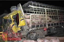Ít nhất 10 người thiệt mạng do tai nạn xe tải ở miền Bắc Nigeria