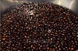 Thị trường nông sản tuần qua: Giá cà phê giảm mạnh