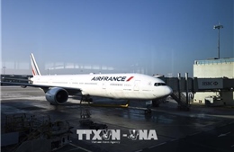 Máy bay Air France xuất phát từ TP Hồ Chí Minh tránh được vụ đấu đầu trên không trong tích tắc