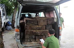 Dùng xe ô tô biển số giả vận chuyển gỗ trái phép