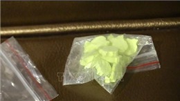 Bắt quả tang 8 thanh niên sử dụng ma túy tại căn hộ chung cư