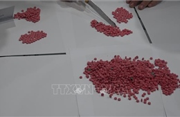 Thanh Hóa: Triệt phá đường dây mua bán trái phép ma túy liên huyện, liên tỉnh