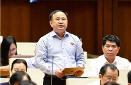 Giữ vững thế trận Quốc phòng, an ninh và đối ngoại tạo nền tảng phát triển đất nước