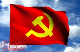 TP Hồ Chí Minh: Trao Huy hiệu Đảng cho hơn 2.100 đảng viên ​