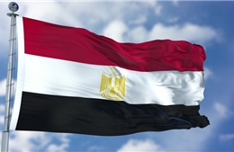 Điện mừng Quốc khánh nước Cộng hòa Ả-rập Ai Cập