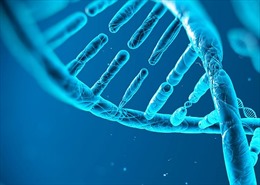 Trung Quốc tạm ngừng nghiên cứu về con người sau thí nghiệm &#39;biến đổi gien&#39; trẻ sơ sinh gây chấn động
