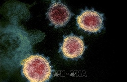 Một sản phụ từng nhiễm virus SARS-CoV-2 sinh con có kháng thể COVID-19