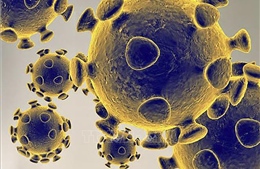 Việt Nam công bố ca nhiễm virus SARS-CoV-2 thứ 35