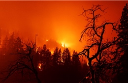 Australia: Cảnh báo sơ tán khẩn cấp ở miền Đông Nam do cháy rừng