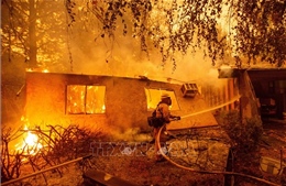 Cháy rừng kinh hoàng ở California năm 2018 là do sự cố đường dây truyền tải điện