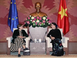 Chủ tịch Quốc hội Nguyễn Thị Kim Ngân tiếp Phó Chủ tịch Nghị viện châu Âu