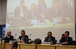 Việt Nam trình bày báo cáo quốc gia về thực thi Công ước chống tra tấn của LHQ