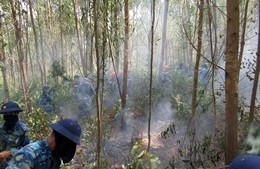 Dập tắt đám cháy tại Vườn quốc gia Hoàng Liên - Lào Cai