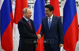 Thủ tướng Nhật Bản khẳng định sẵn sàng đàm phán hiệp ước hòa bình với Nga