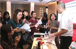 Tăng cường kết nối giữa doanh nghiệp Việt Nam và Nhật Bản