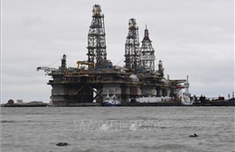 EIA: Mỹ tăng nhập, giảm xuất dầu thô trong tuần vừa qua