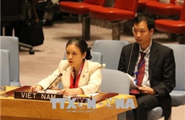 Tin tưởng Việt Nam sẽ hoàn thành tốt trọng trách tại Hội đồng Bảo an
