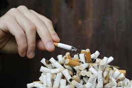 Một trường đại học của Nhật Bản không nhận giảng viên hút thuốc