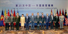 Việt Nam tham dự hội nghị tham vấn cấp cao ASEAN - Trung Quốc  