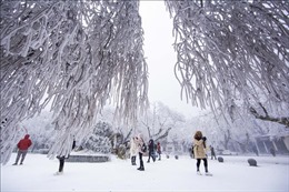 Tuyết rơi đầu đông tuyệt đẹp tại Trung Quốc